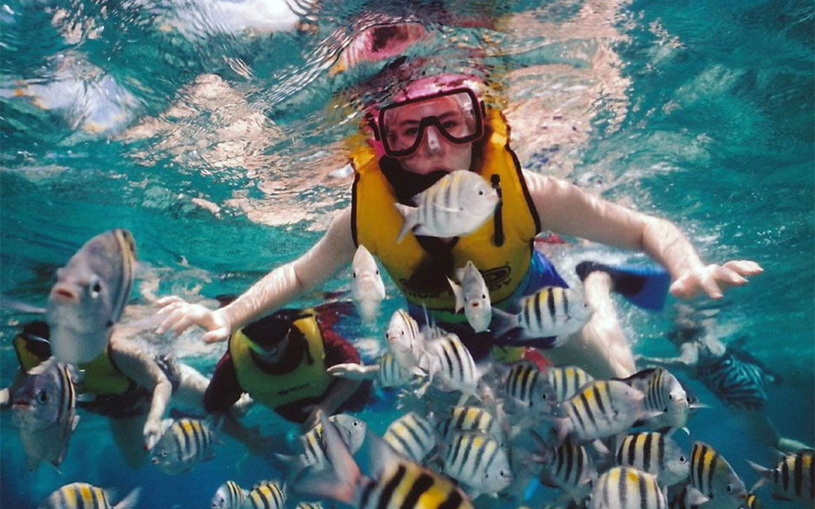 amed snorkeling trip